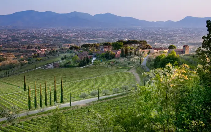 Scenic Tuscan landscape with rolling hills, vineyards, and countryside views.