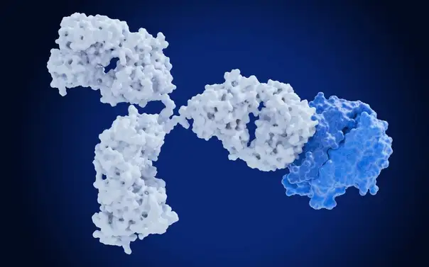 Therapeutic antibody illustration