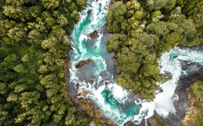 河流穿过森林的俯瞰图。