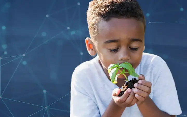 Little boy holding small tree in hand