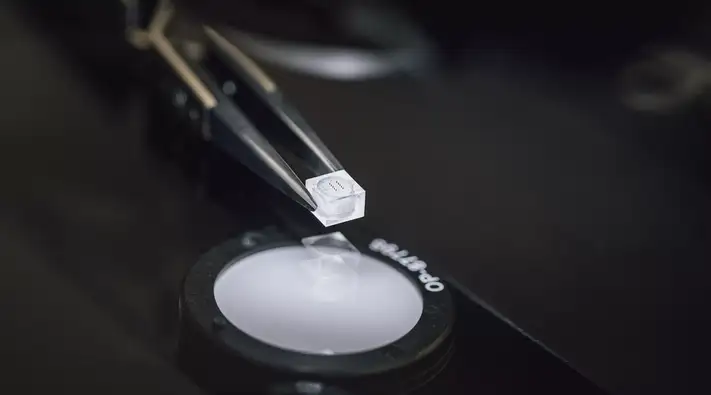 Glass-encapsulated component in tweezers