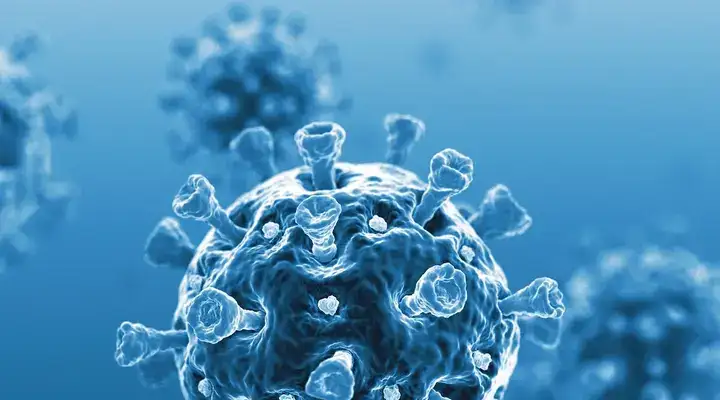 close up of a virus