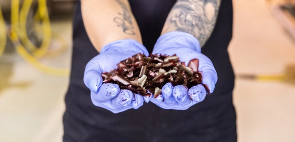 Hands with purple gloves holding algae into camera.