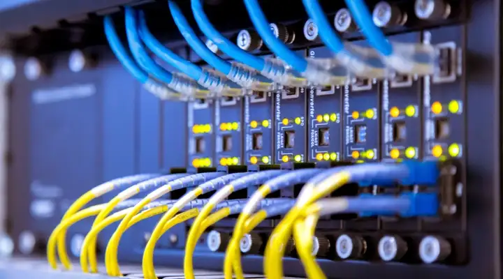 Series of blue and yellow wires going into a network device